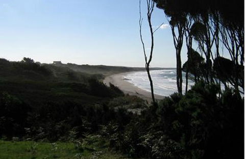 King Island Accommodation Cottages - Perth Resorts 19