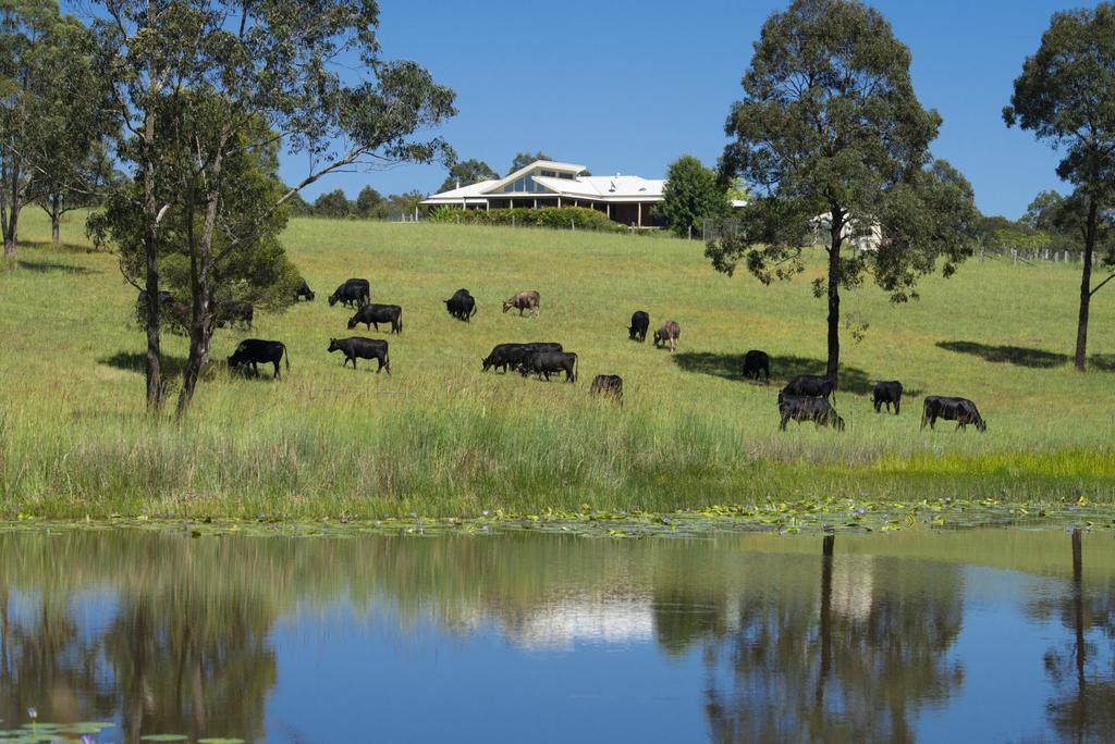 Wang Wauk NSW Accommodation Perth