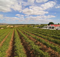 1837 Barossa Luxury Vineyard Cottages - Accommodation Perth