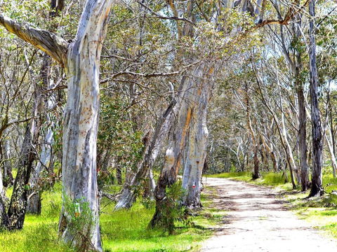 Cabin 3 - Snowy Accommodation - Accommodation Perth 1