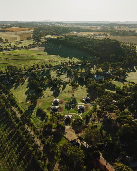 CANVS By CABN Seppeltsfield Barossa - Perth Resorts 1