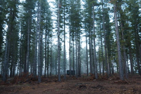 CABN Kuitpo Forest - Perth Resorts 2