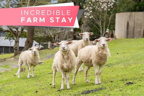 Carawatha On The Range - Unique Farm Stay - Accommodation Perth 0