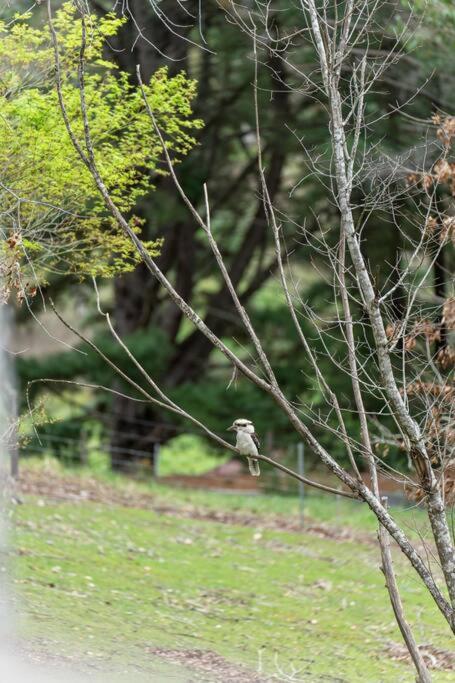 Carawatha On The Range - Unique Farm Stay - Accommodation Perth 4