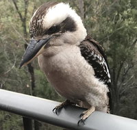 424 Trees - Perth Resorts