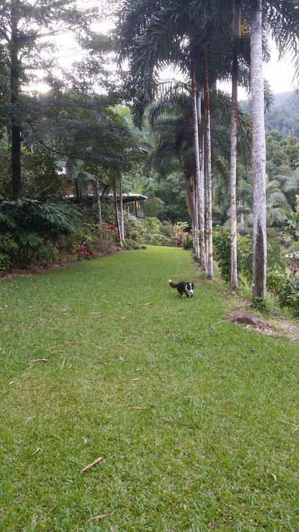A Daintree Garden - Accommodation Perth 1