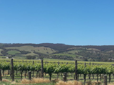 A Victor Harbour Retreat Aldinga Tony's Music Cottage - Accommodation Perth 3