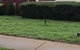 Adelaide Northern B&B - thumb 3