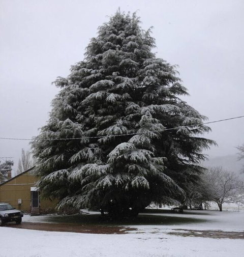 Duckmaloi Park Lodge - Accommodation Perth 3