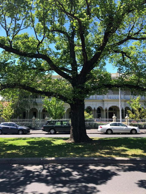 East Melbourne City Studio - Amazing Location & Sunny Charm - Perth Resorts 3