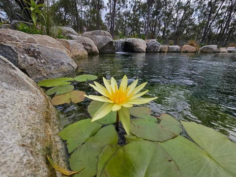 Eureka Station Camping Retreat - Accommodation Perth 4