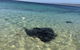 Hamelin Bay Seaclusion - thumb 1