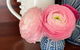 Hazel House Goulburn - thumb 3
