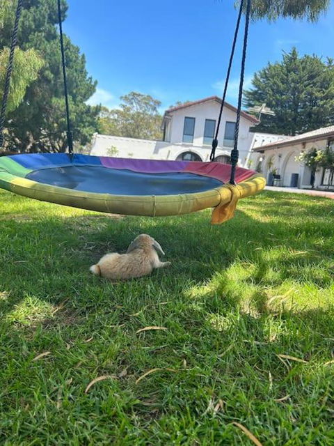 Holiday House - Perth Resorts 2