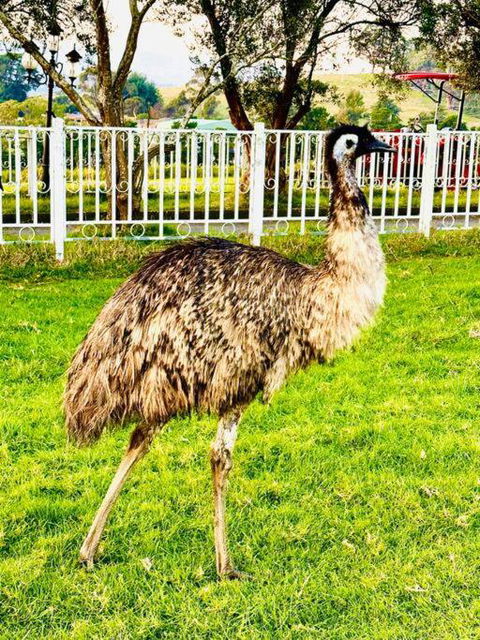 Holiday House - Perth Resorts 3