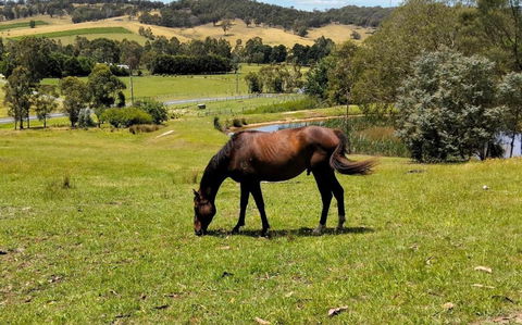 Honeycomb Hill Of Yarra Valley - Accommodation Perth 3