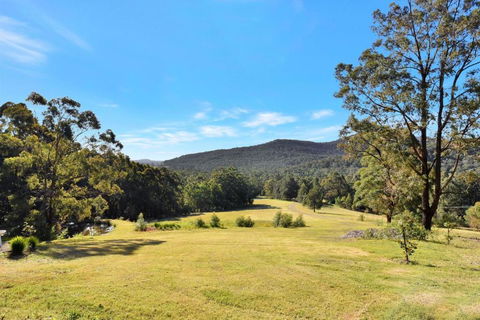 Hunter Valley Kangaroo Retreat With 60 Kangaroos - Accommodation Perth 1