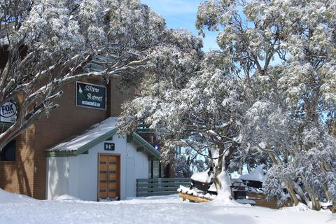 Alpine Retreat Mt Buller - Accommodation Perth 0