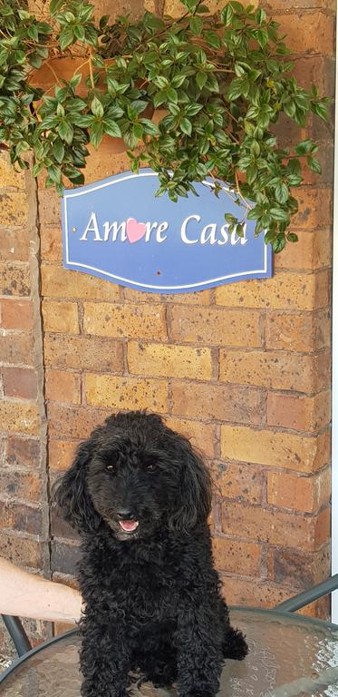 Amore Casa Tenterfield - Accommodation Perth 2