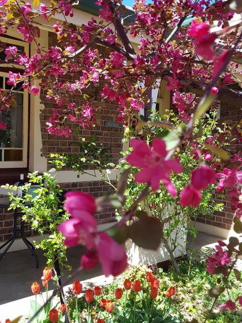 Arden On McLachlan - Accommodation Perth 3