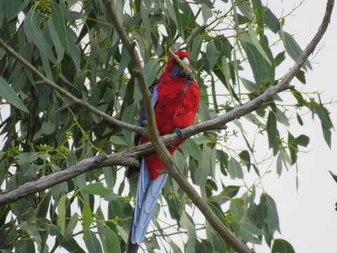 Arnold House - Perth Resorts 2