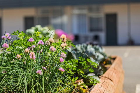 Maffra Motor Inn - Accommodation Perth 3