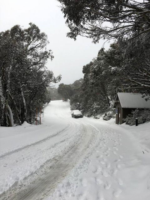MAGNIFICENT SKIING ON MOUNT BULLER - Accommodation Perth 3