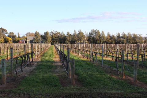 Milawa Vineyard Views - Guesthouse 1 - Accommodation Perth 2