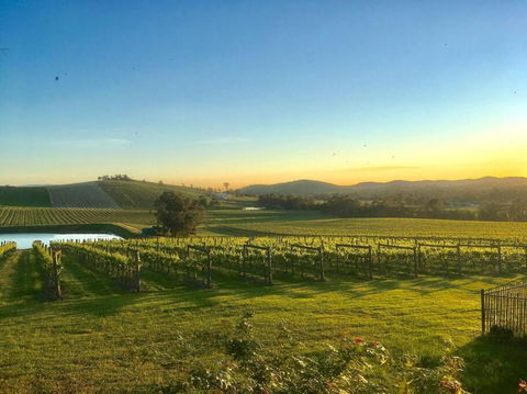 Mount Hope Estate Vineyard - Accommodation Perth 0