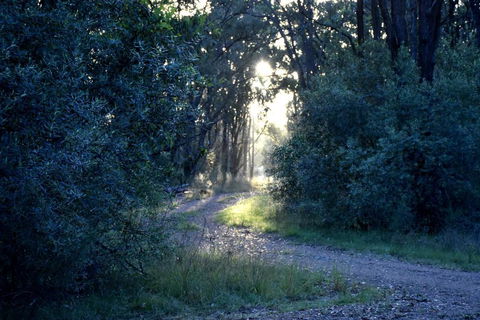 On Bell Glamping - Accommodation Perth 3