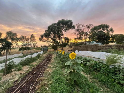 Penobscot Farm Cottage - Accommodation Perth 2