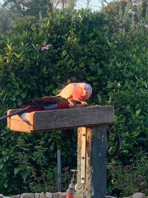 Pier 9 - Accommodation Perth 3