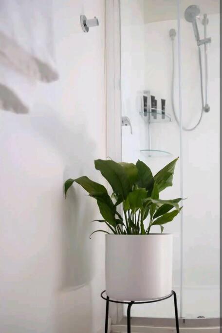 Poppies Retreat - Accommodation Perth 2