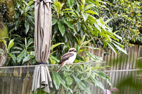 Quaint Queen Room - Central Location At Pymble - Shared Bathroom - Perth Resorts 1