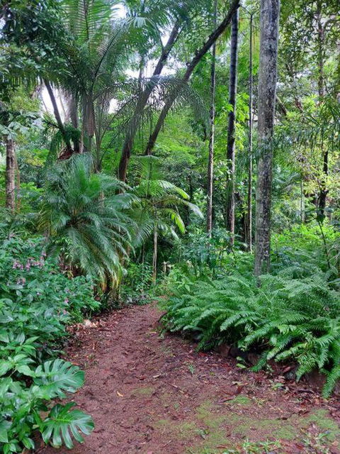 Rainforest Retreat-Fireplace-BBQ-3 Acres- - Accommodation Perth 0