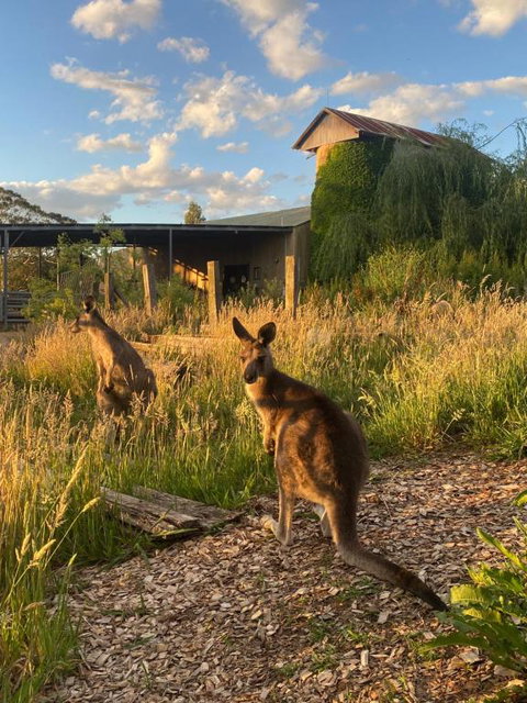 Private Country Escape With Valley Views - Accommodation Perth 2