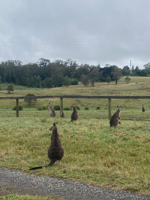Private Country Escape With Valley Views - Accommodation Perth 1
