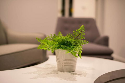 Astrina 2 Bed Value Apartment - Accommodation Perth 1
