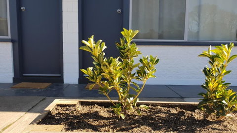 Australian Hotel Motel - Accommodation Perth 2