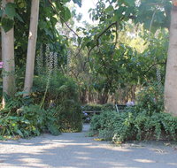 Avoca Park