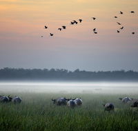 Bamurru Plains - Perth Resorts