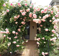 Baudins of Busselton Bed and Breakfast - Perth Resorts