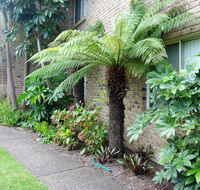 Beachfront Apartments - Accommodation Perth