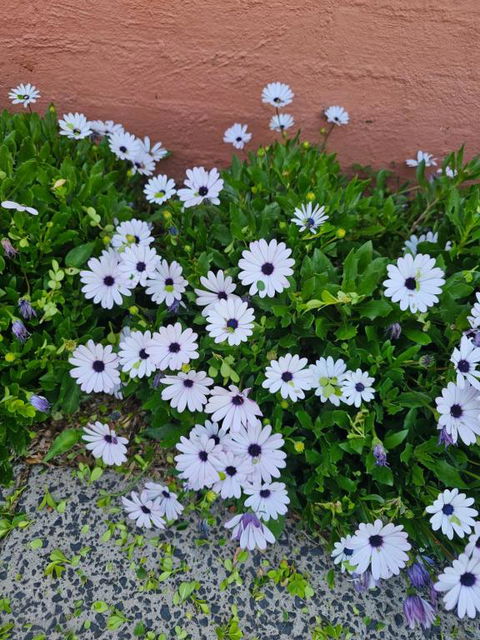 Reverie - Accommodation Perth 2