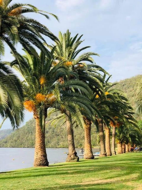 Riva On The Hawkesbury - Accommodation Perth 0