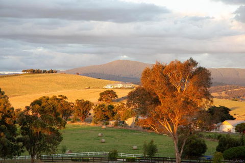 Rose Cottage Yarra Glen - Accommodation Perth 1