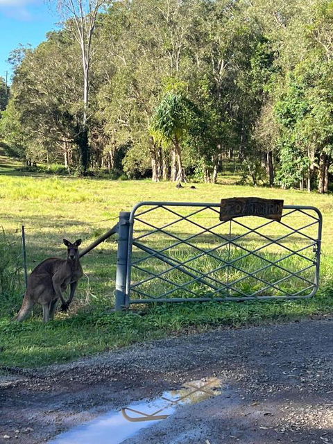 Rural Self Contained 3 Bedroom Cottage On Acreage, - Accommodation Perth 2