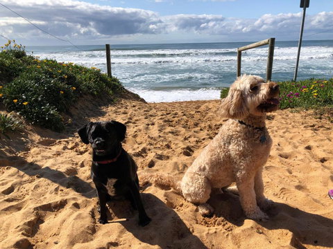 Sanctuary Retreat - Accommodation Perth 2