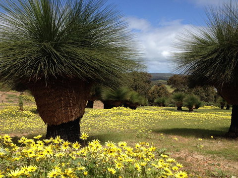 Bed + Bauhaus - Perth Resorts 1