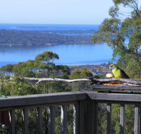 Bed in the Treetops BB - Accommodation Perth